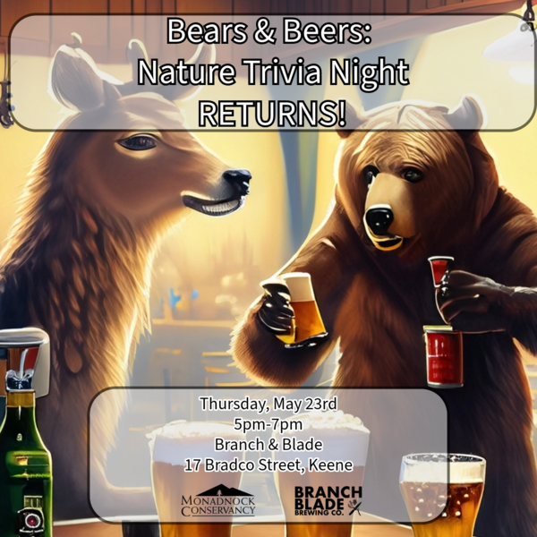 a cartoon image of a bear and a deer having a drink at a bar. The Monadnock Conservancy's logo is at the top, and at the bottom of the image is a title reading, "Bears & Beers: Wildlife Trivia Night at Branch & Blade, May 23rd at 5-7pm'