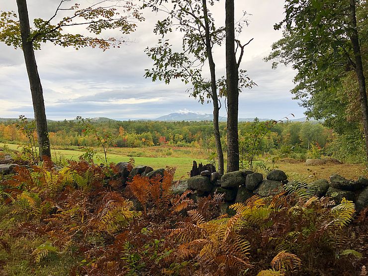 Stone wall, field, woods, and Mount Monadnock