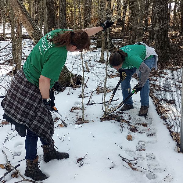 Volunteers from M&T bank assist with trail work at the Maynard Family Forest