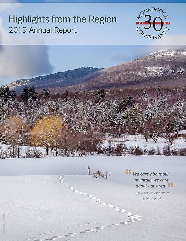 2019 Annual Report cover