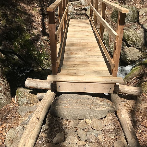 Bridge over brook