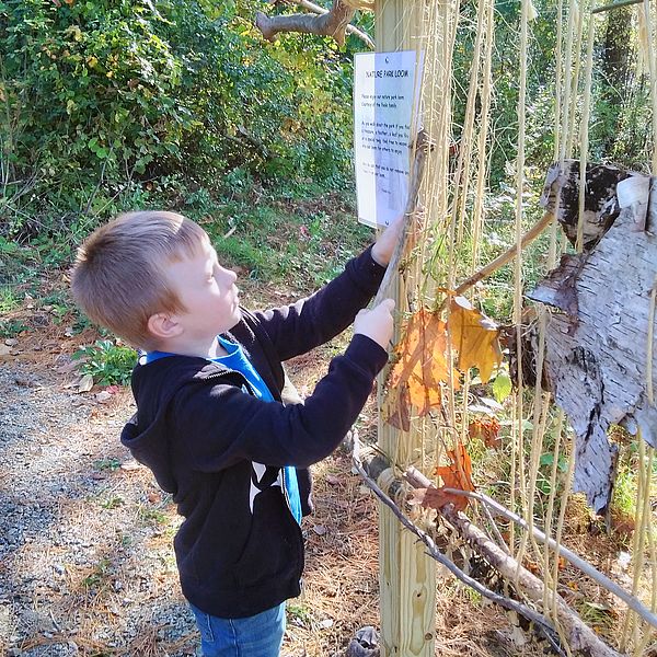 Boy facing sideways holding stick and leaves