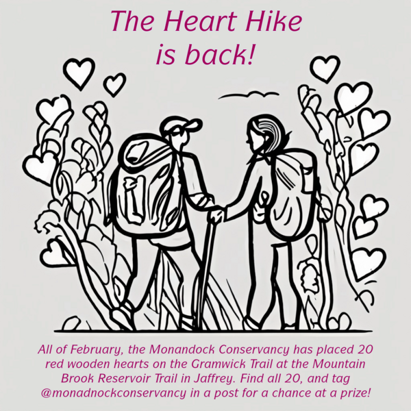 A line drawing of a couple walking in woods, little valentine's day hearts are hanging from the trees and the text reads "The Heart Hike is Back"