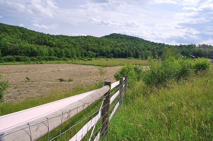 Cooper Hill and conserved open field