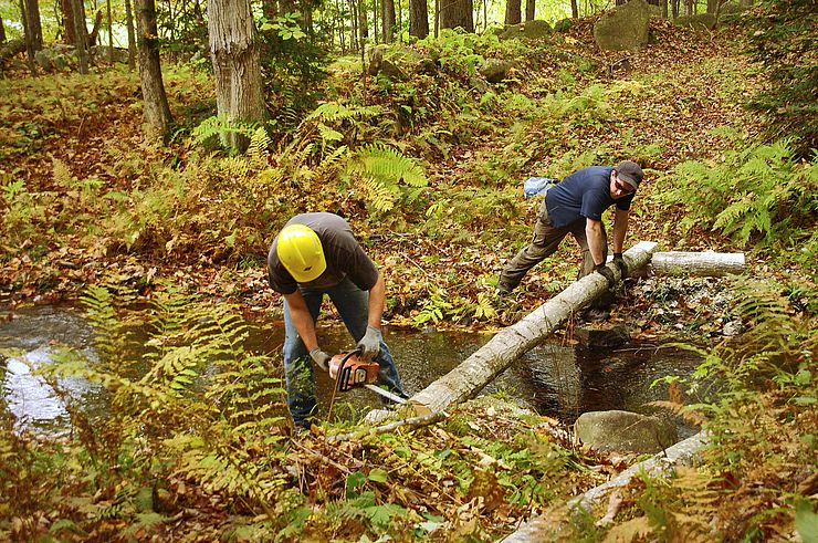 Two young men sawing a log