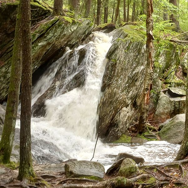 A waterfall at the Calhoun Family Forest
