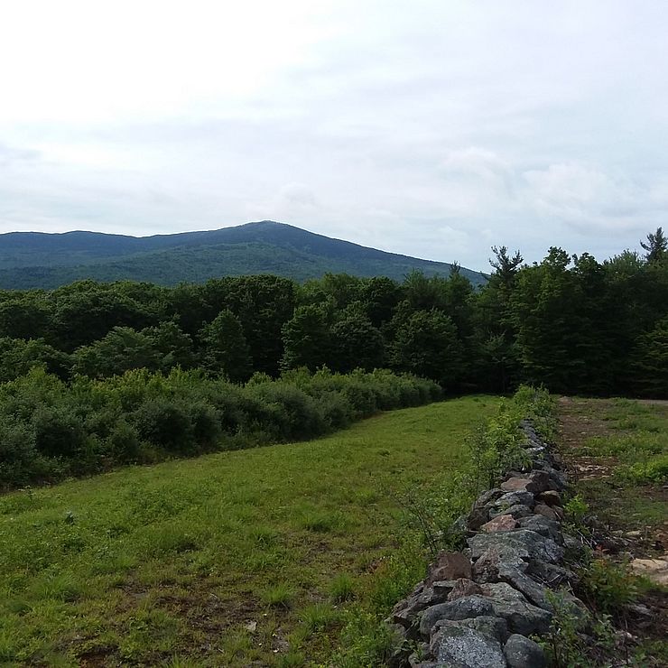 A fence and view of Mount Monadnock on the wildwood property