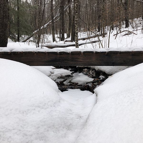 Footbridge in snowy woods