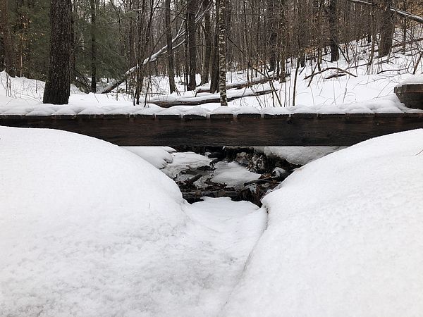 Footbridge in snowy woods