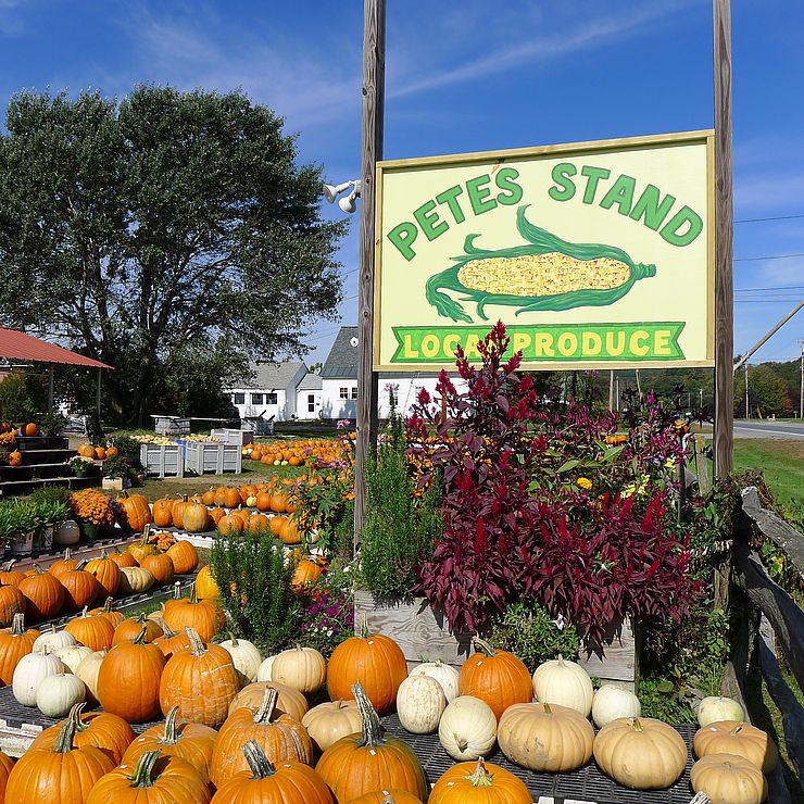 This picture shows Pete's Stand farmstand. There are pumpkins around a sign that reads "Pete's Stand"