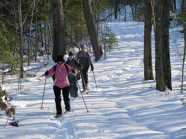 Three snowshoers along snowy trail in woods