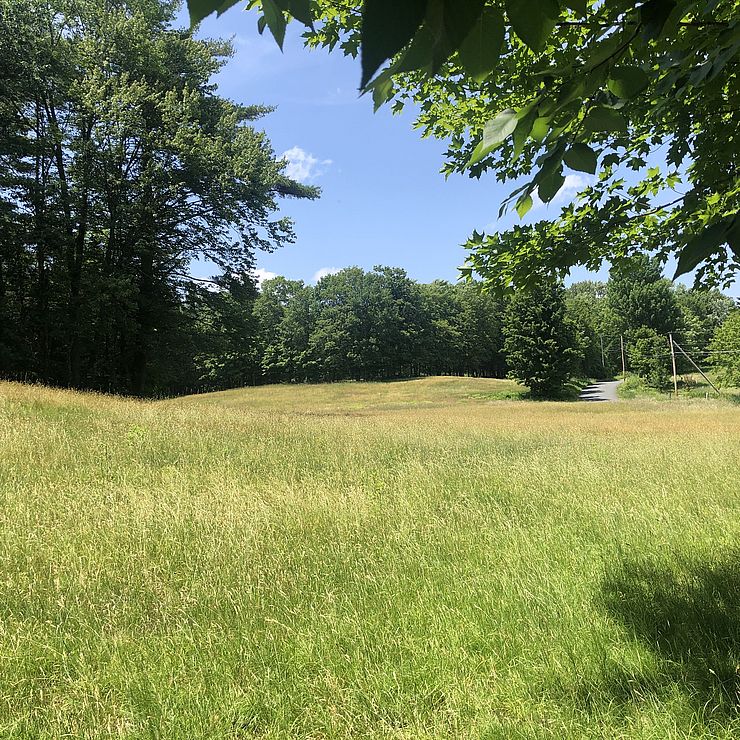 an image of a field which is part of the Landman property in West Swanzey