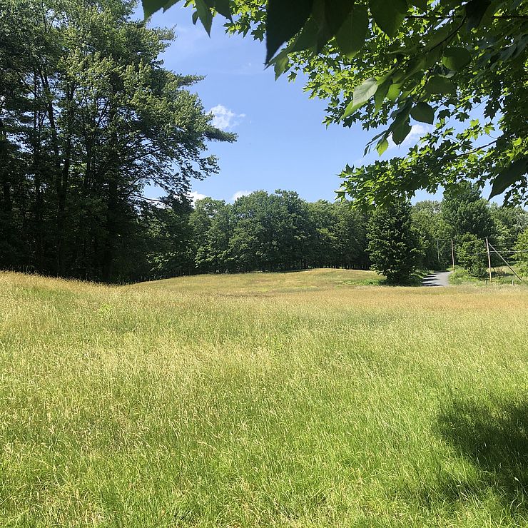 an image of a field which is part of the Landman property in West Swanzey