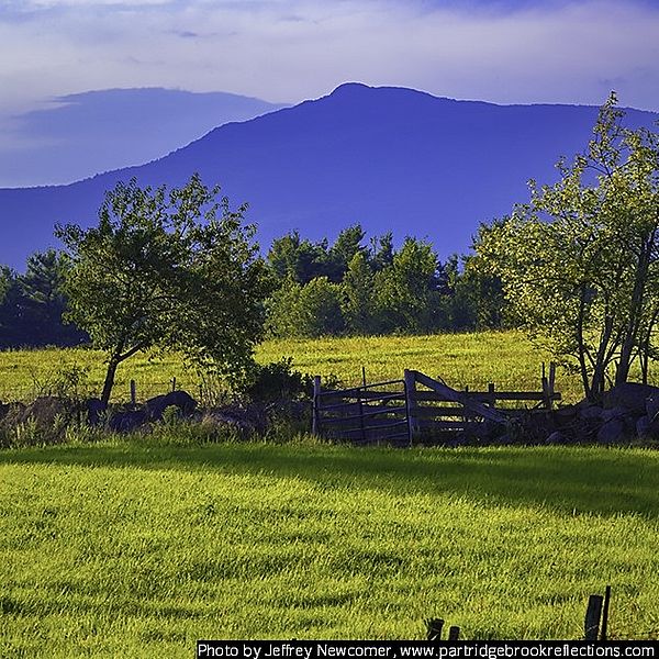 Evening light on a grassy pasture, with Mt. Monadnock in the background