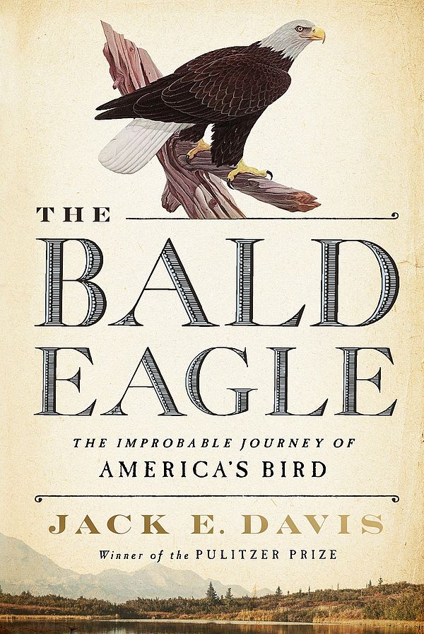Book cover of the title The Bald Eagle