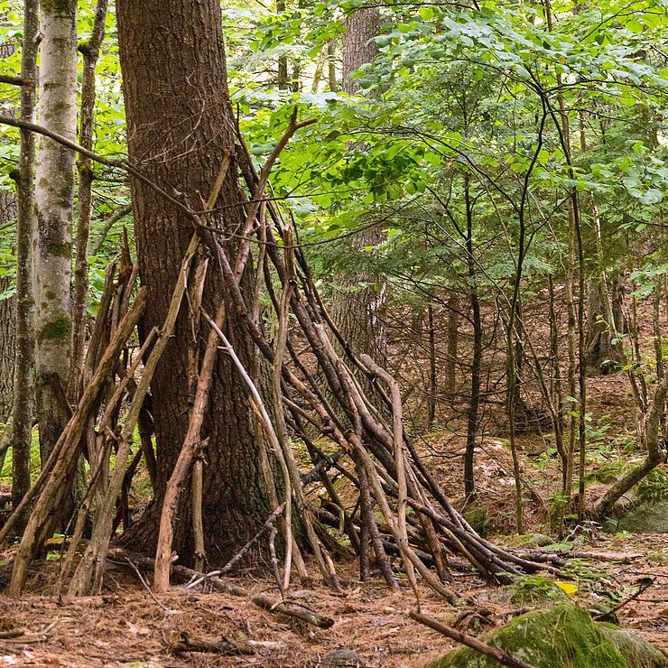 Stick fort in woods