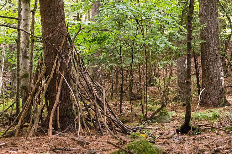 Stick fort in woods