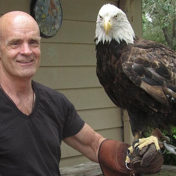 Jack E. Davis with a bald eagle bird perched on his arm