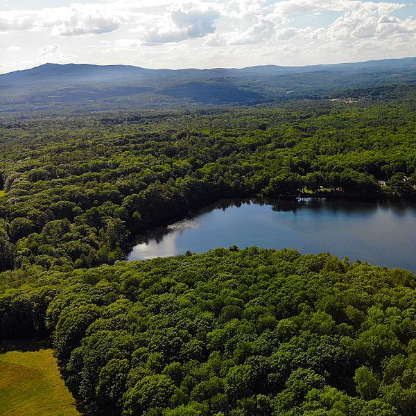 Aerial view of Cunningham Pond