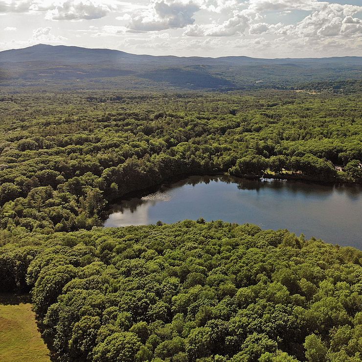 Aerial view of Cunningham Pond