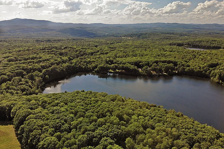 Aerial view of Cunningham Pond