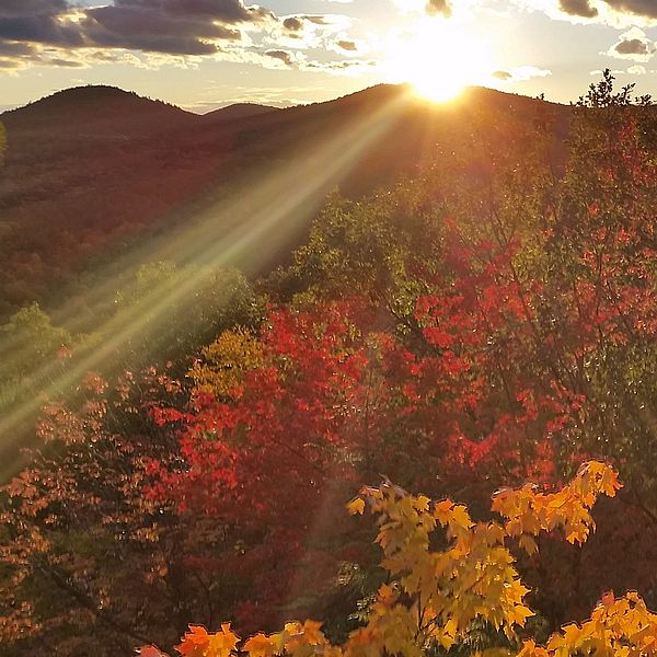 Hewes Hill in Swanzey