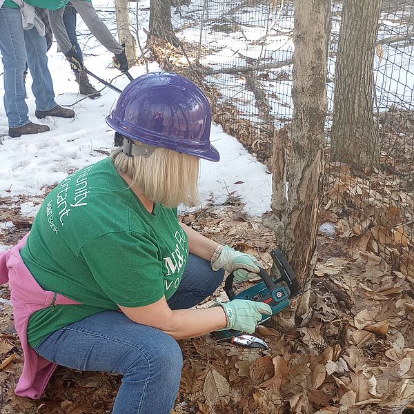 Volunteers from M&T bank assist with trail work at the Maynard Family Forest