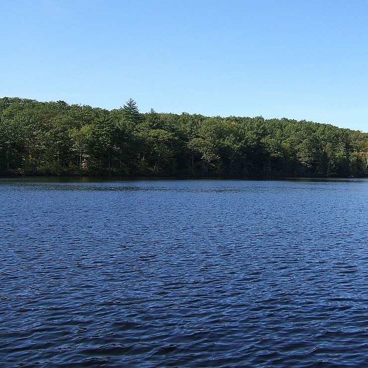 Water and conserved shoreline at Lake Warren