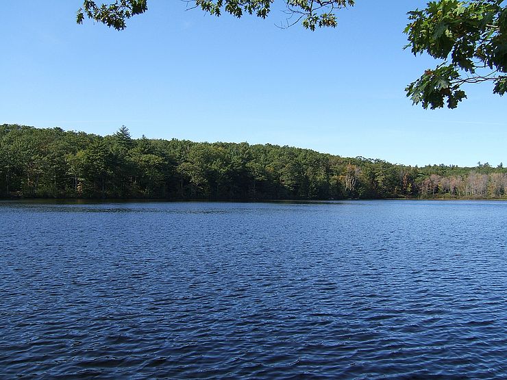 Water and conserved shoreline at Lake Warren