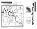 Widow Gage Town Forest Trails