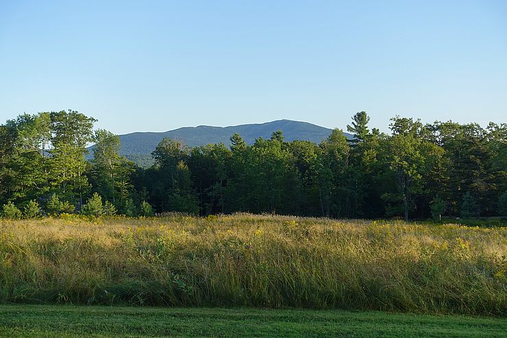View of meadow, trees, and small mountain