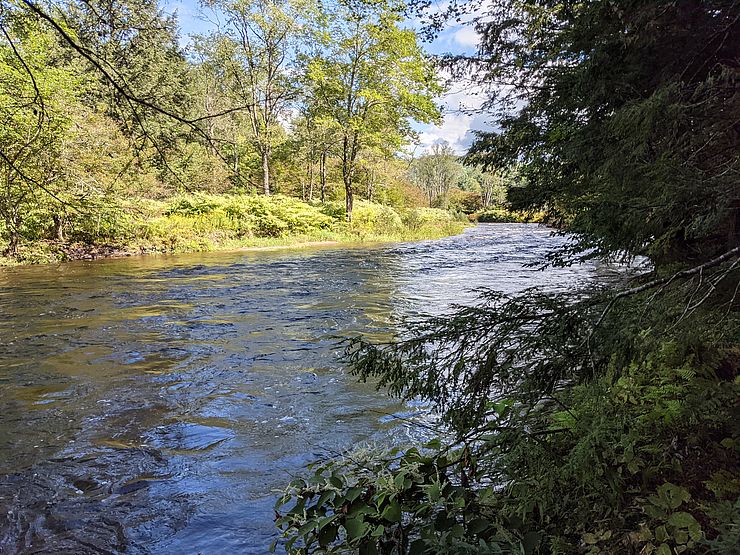 The picture shows a river running through the woods in Peterborough, NH. 