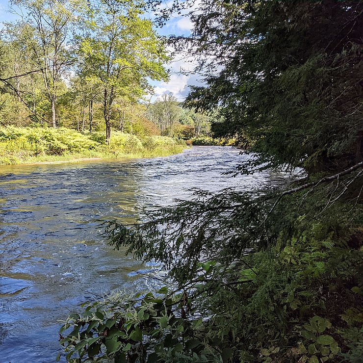 The picture shows a river running through the woods in Peterborough, NH. 