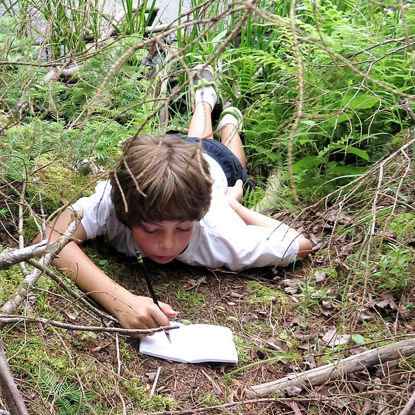 Boy reading a book by the pond